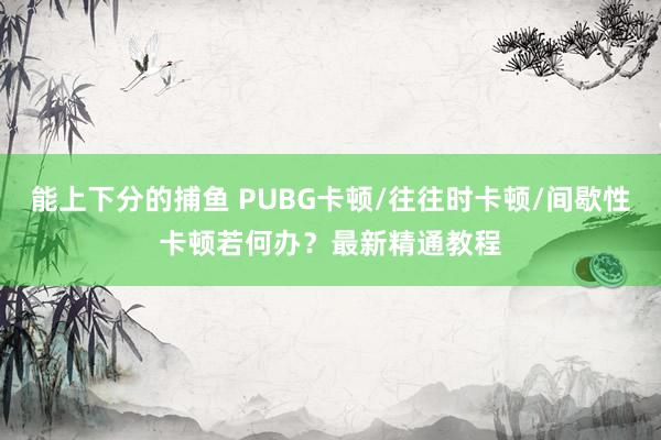 能上下分的捕鱼 PUBG卡顿/往往时卡顿/间歇性卡顿若何办？最新精通教程