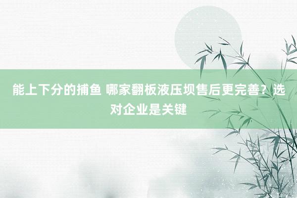 能上下分的捕鱼 哪家翻板液压坝售后更完善？选对企业是关键