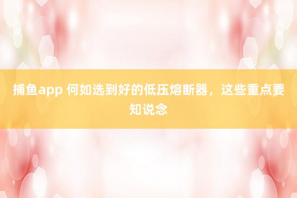 捕鱼app 何如选到好的低压熔断器，这些重点要知说念
