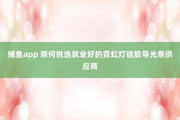 捕鱼app 奈何挑选就业好的霓虹灯硅胶导光条供应商