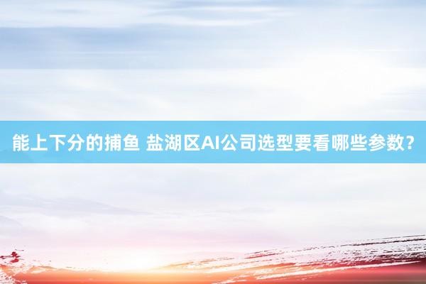 能上下分的捕鱼 盐湖区AI公司选型要看哪些参数？