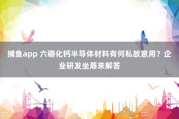 捕鱼app 六硼化钙半导体材料有何私故意用？企业研发坐蓐来解答