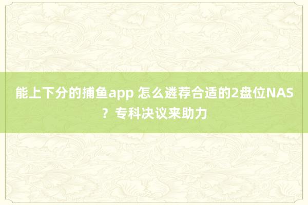 能上下分的捕鱼app 怎么遴荐合适的2盘位NAS？专科决议来助力