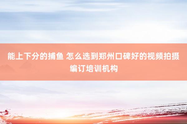能上下分的捕鱼 怎么选到郑州口碑好的视频拍摄编订培训机构