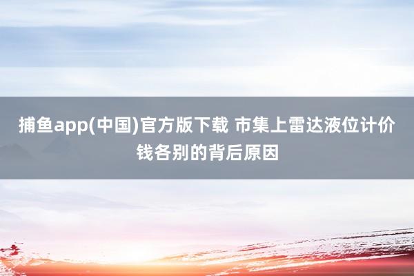 捕鱼app(中国)官方版下载 市集上雷达液位计价钱各别的背后原因