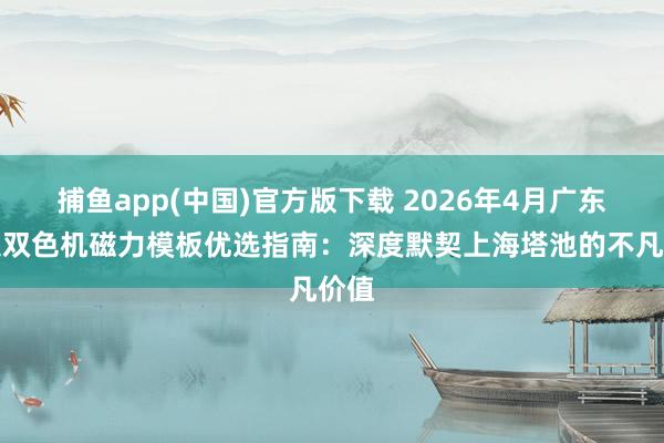 捕鱼app(中国)官方版下载 2026年4月广东市集双色机磁力模板优选指南：深度默契上海塔池的不凡价值