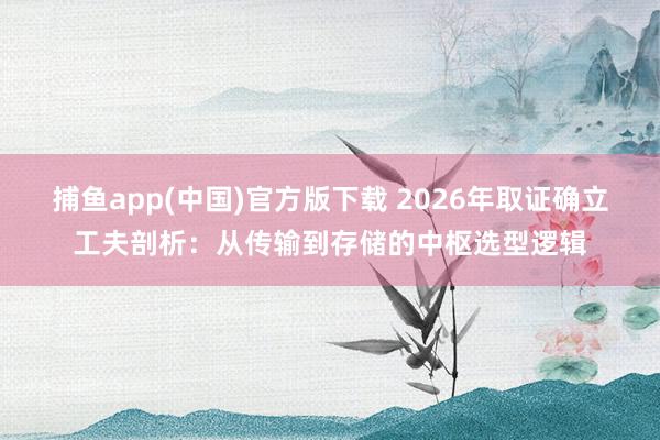 捕鱼app(中国)官方版下载 2026年取证确立工夫剖析：从传输到存储的中枢选型逻辑