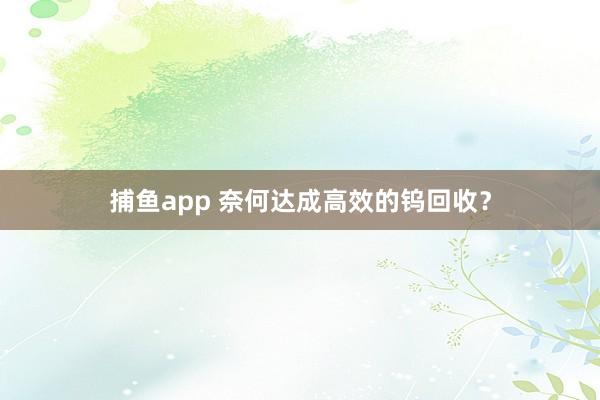捕鱼app 奈何达成高效的钨回收？