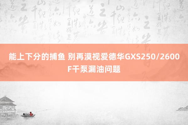能上下分的捕鱼 别再漠视爱德华GXS250/2600F干泵漏油问题