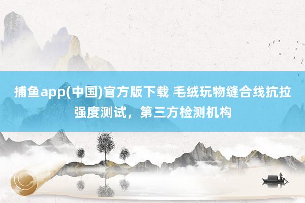 捕鱼app(中国)官方版下载 毛绒玩物缝合线抗拉强度测试，第三方检测机构