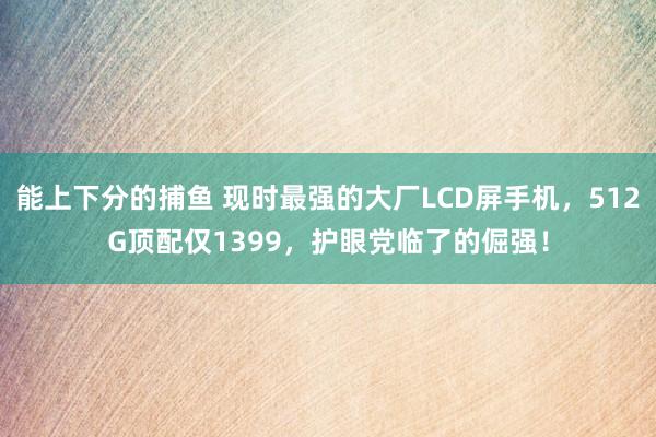 能上下分的捕鱼 现时最强的大厂LCD屏手机，512G顶配仅1399，护眼党临了的倔强！