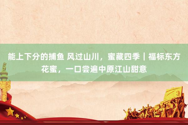 能上下分的捕鱼 风过山川，蜜藏四季｜福标东方花蜜，一口尝遍中原江山甜意