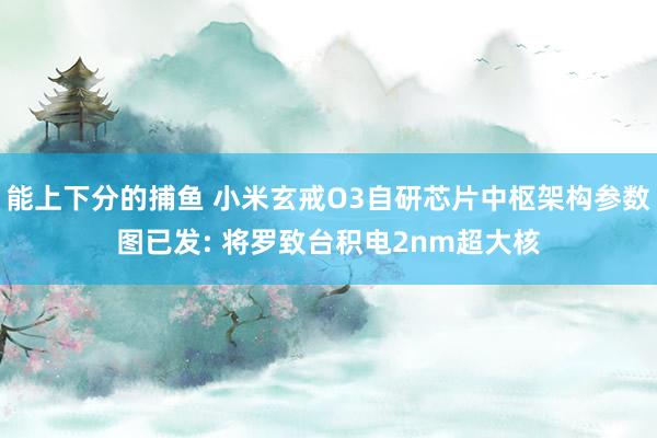 能上下分的捕鱼 小米玄戒O3自研芯片中枢架构参数图已发: 将罗致台积电2nm超大核