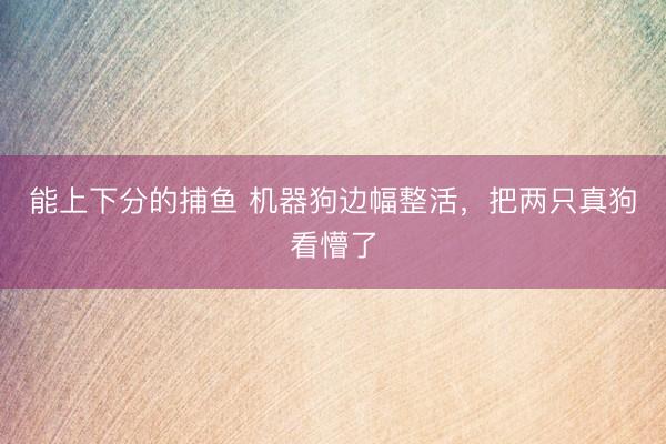 能上下分的捕鱼 机器狗边幅整活，把两只真狗看懵了